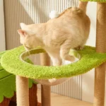[123CM Purr & Play Cottage] Solid Wood Cat Condo - Image 3